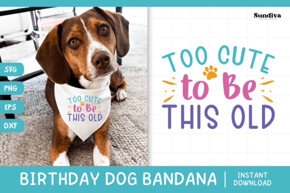 Cute Birthday Dog Bandana Quote SVG 1: Graphics for Crafts