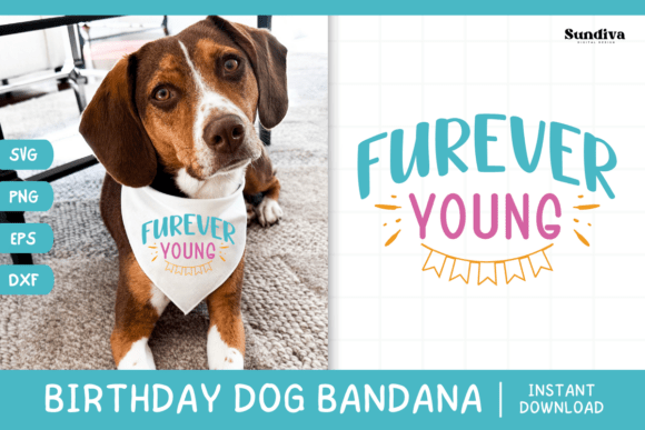 Cute Birthday Dog Bandana Quote SVG 13: Graphics for Crafts & Playful Branding